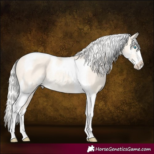 Horse Color:Silver Perlino Dun Sabino Tobiano Rabicano 