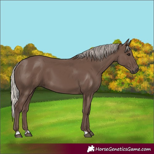 Horse Color:Silver Black 