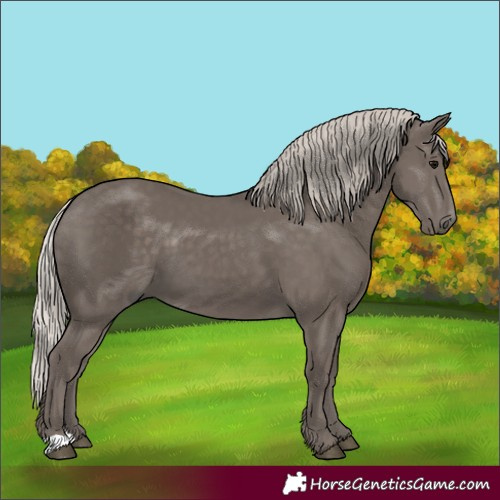 Horse Color:Silver Black 