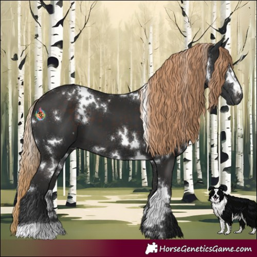 Horse Color:White Spotted Liver Chestnut