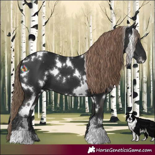 Horse Color:White Spotted Liver Chestnut