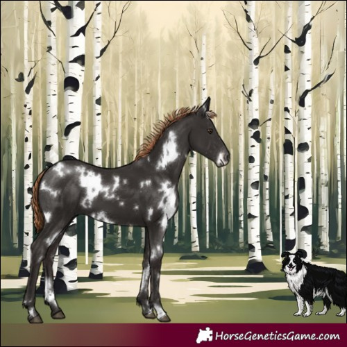 Horse Color:White Spotted Liver Chestnut 