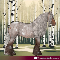 Horse Color:White Spotted Silver Brown Roan 