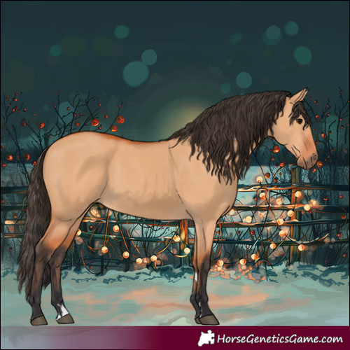 Horse Color:Bay Dun 