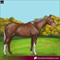 Horse Color:Gray Silver Black Pearl Tobiano