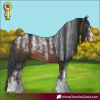Horse Color:Powder White Brown
