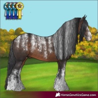 Horse Color:Powder White Brown 
