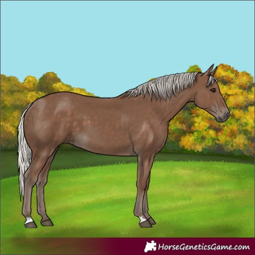 Horse Color:Silver Black 