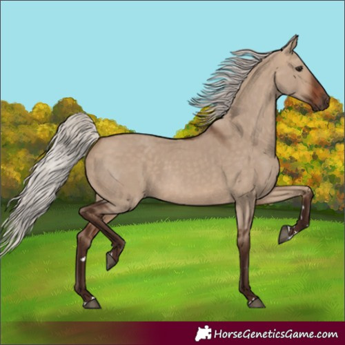Horse Color:Silver Brown Dun 