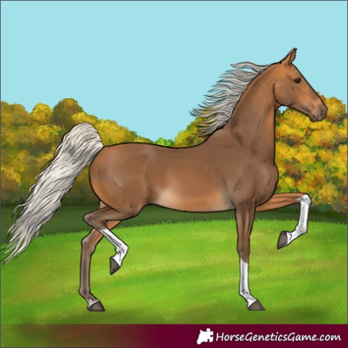 Horse Color:Silver Buckskin Tobiano 