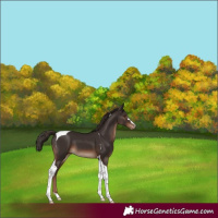 Horse Color:Liver Chestnut Tobiano Varnish 