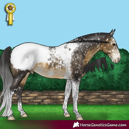 Horse Color:Buckskin Sabino Tobiano Appaloosa Rabicano 