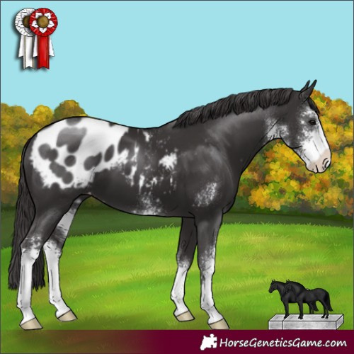 Horse Color:Smoky Black Sabino Blanket