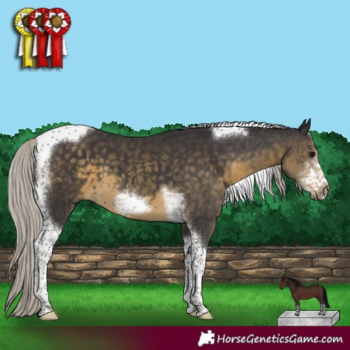 Horse Color:Silver Smoky Black Sabino Tobiano Frame 