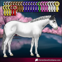 Horse Color:White Spotted Black Tobiano Frame Varnish 