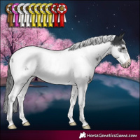 Horse Color:White Spotted Black Tobiano Frame Appaloosa