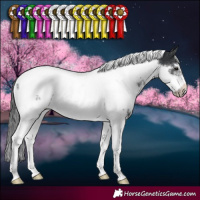 Horse Color:White Spotted Black Tobiano Frame Appaloosa 