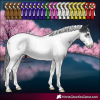 Horse Color:White Spotted Black Tobiano Frame Appaloosa