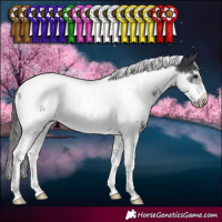 Horse Color:White Spotted Black Tobiano Frame Appaloosa 