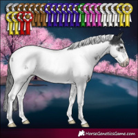 Horse Color:White Spotted Black Tobiano Frame Appaloosa 