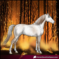 Horse Color:Gray Smoky Black Pearl Sabino Rabicano 