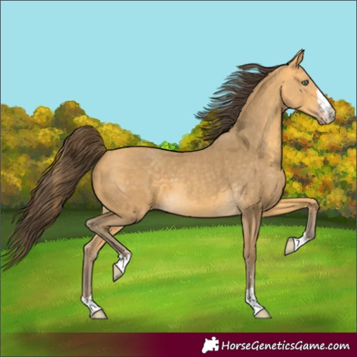 Horse Color:Amber Cream Champagne 