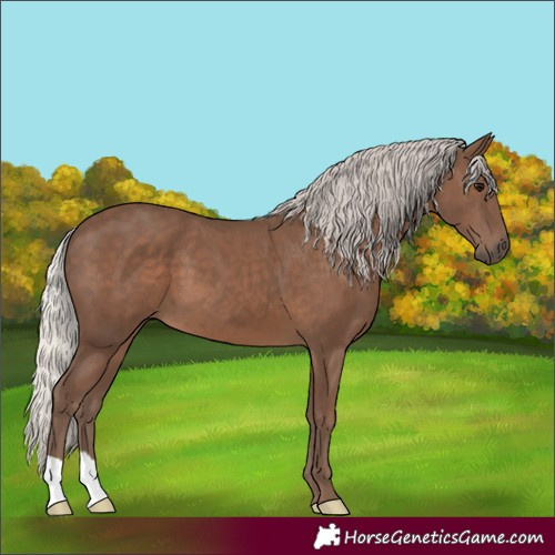 Horse Color:Silver Black