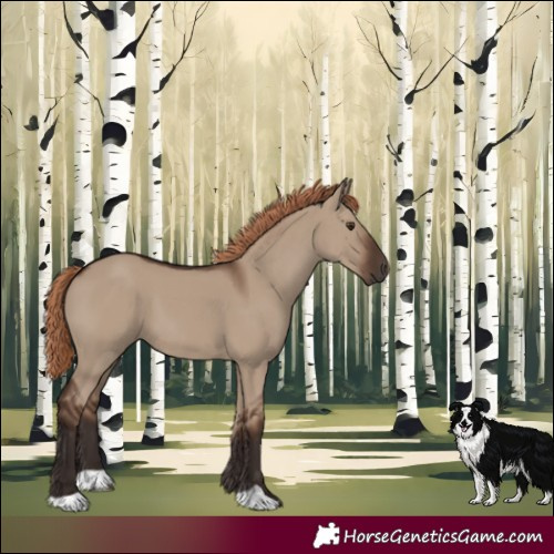 Horse Color:Liver Red Dun