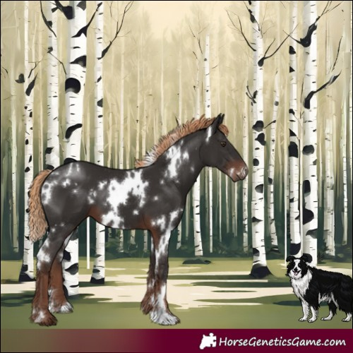 Horse Color:White Spotted Liver Chestnut 