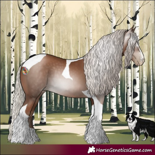 Horse Color:Gray Silver Black Pearl Tobiano