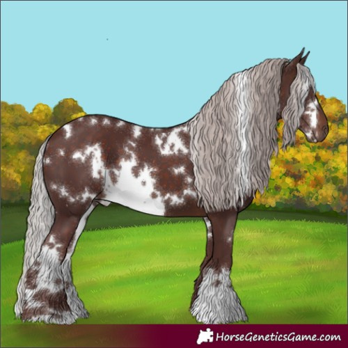 Horse Color:White Spotted Chocolate Silver Brown 