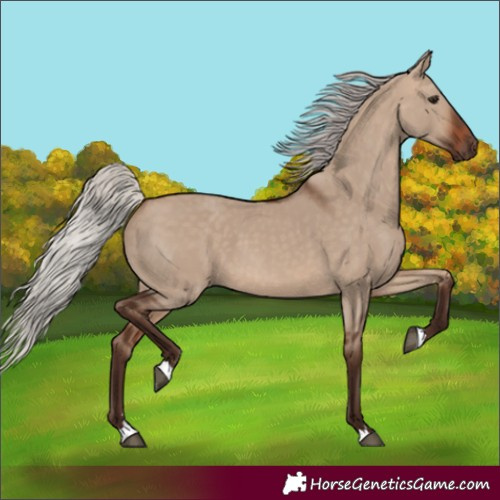 Horse Color:Silver Brown Dun 