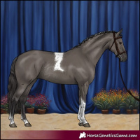 Horse Color:Smoky Grullo Tobiano Rabicano