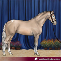 Horse Color:Gray Silver Buckskin Pearl Tobiano 
