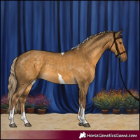 Horse Color:Chocolate Palomino Dun Tobiano Rabicano