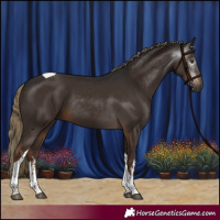 Horse Color:Gray White Spotted Liver Chestnut Tobiano Rabicano
