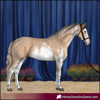 Horse Color:White Spotted Chocolate Palomino Sabino