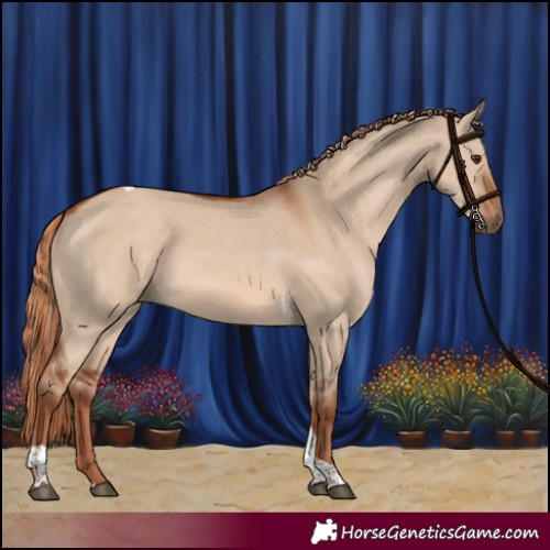 Horse Color:Red Dun Tobiano Rabicano 