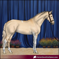 Horse Color:Palomino Dun Tobiano 