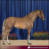 Horse Color:Chocolate Palomino Sabino Rabicano
