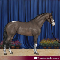 Horse Color:Brown Dun Sabino Tobiano Rabicano