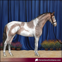 Horse Color:Bay Sabino Tobiano Frame