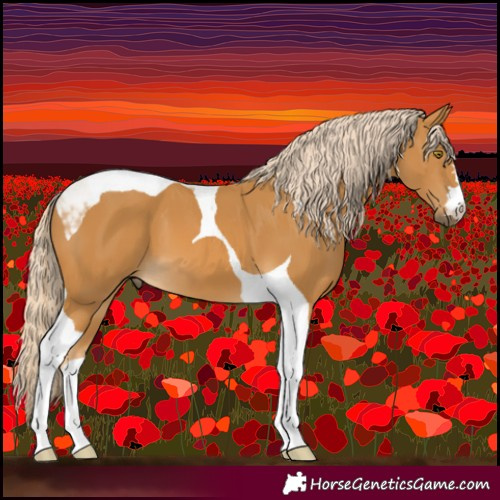 Horse Color:Palomino Tobiano