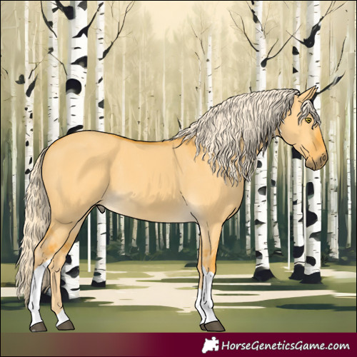 Horse Color:Palomino Dun Tobiano 