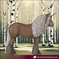 Horse Color:Silver Black