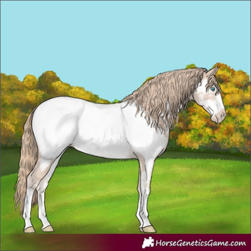 Horse Color:Smoky Creme Sabino Frame Appaloosa Rabicano 