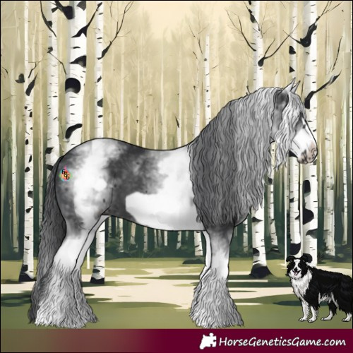 Horse Color:White Spotted Black Frame 