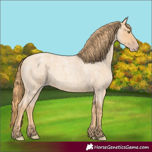Horse Color:Gold Champagne Roan Rabicano 