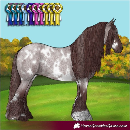 Horse Color:White Spotted Chocolate Brown Roan 