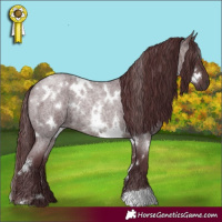 Horse Color:White Spotted Chocolate Brown Roan